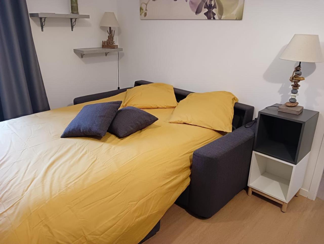 La Marmotte Appartement T2 Classe 3 Etoiles Aulus-les-Bains Zewnętrze zdjęcie