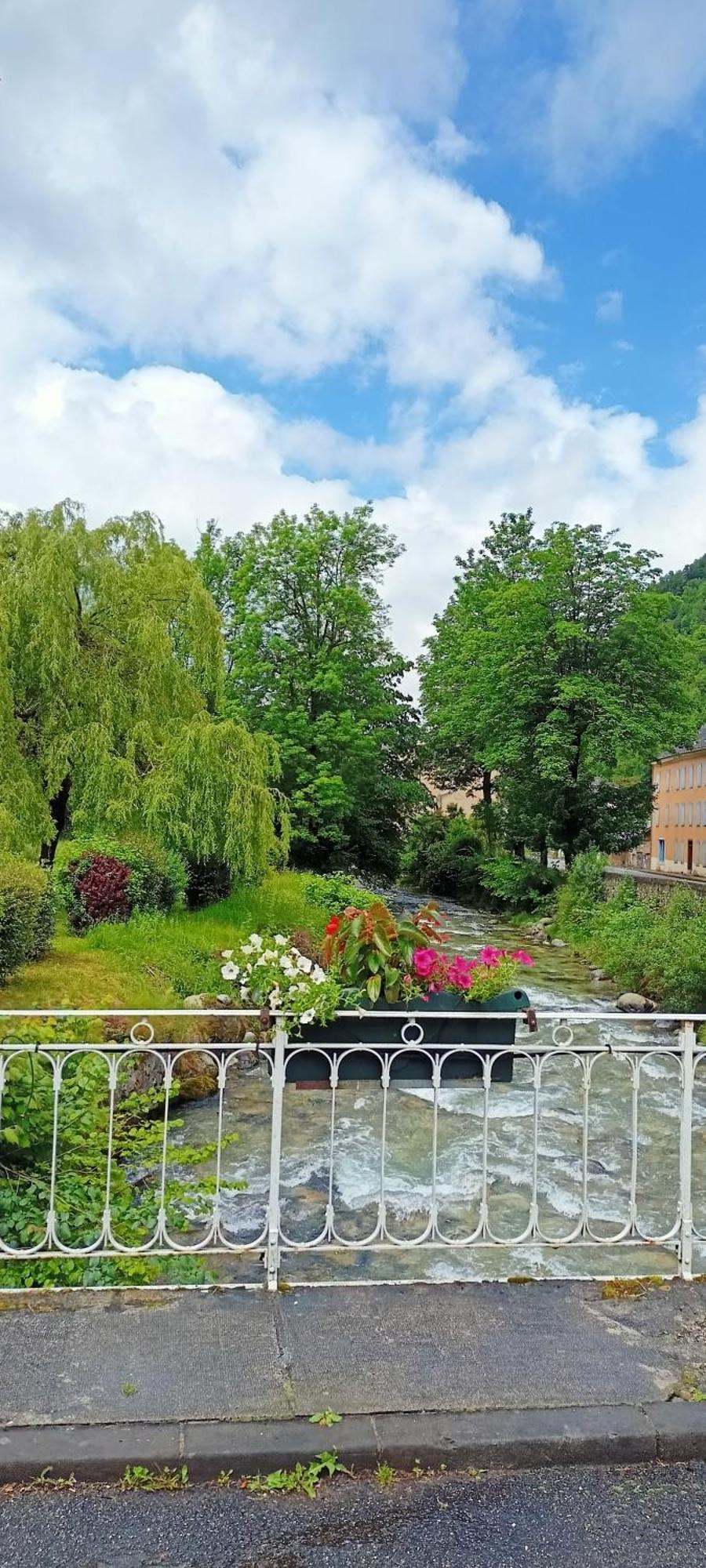 La Marmotte Appartement T2 Classe 3 Etoiles Aulus-les-Bains Zewnętrze zdjęcie